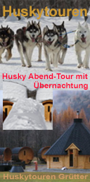 zur Webseite