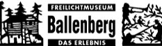 zur Webseite